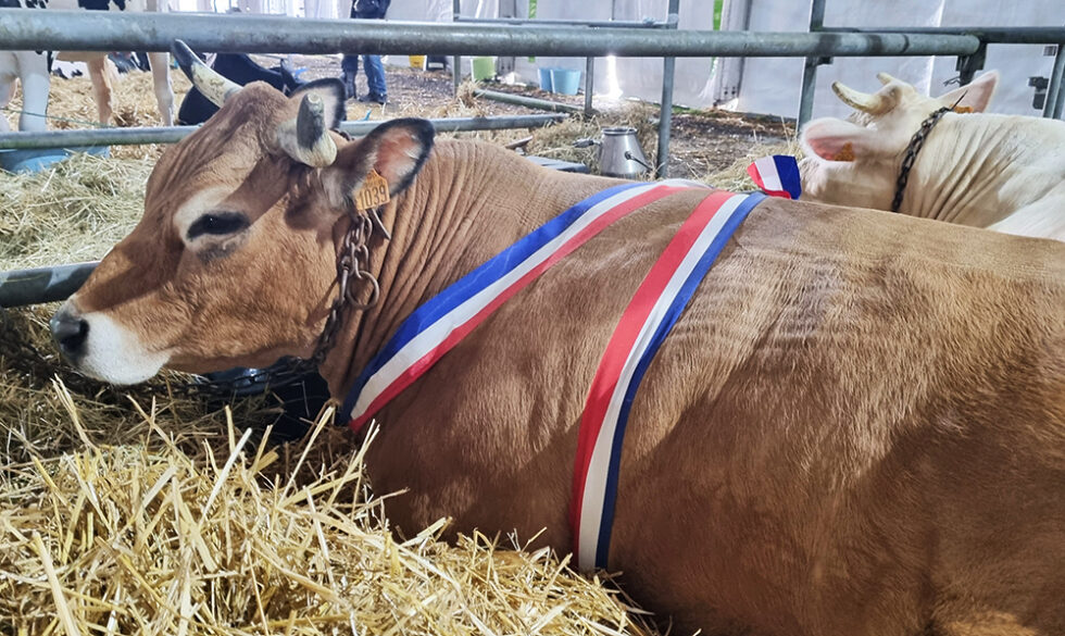 concours-agricoles-980x585 concours-agricoles-980x585